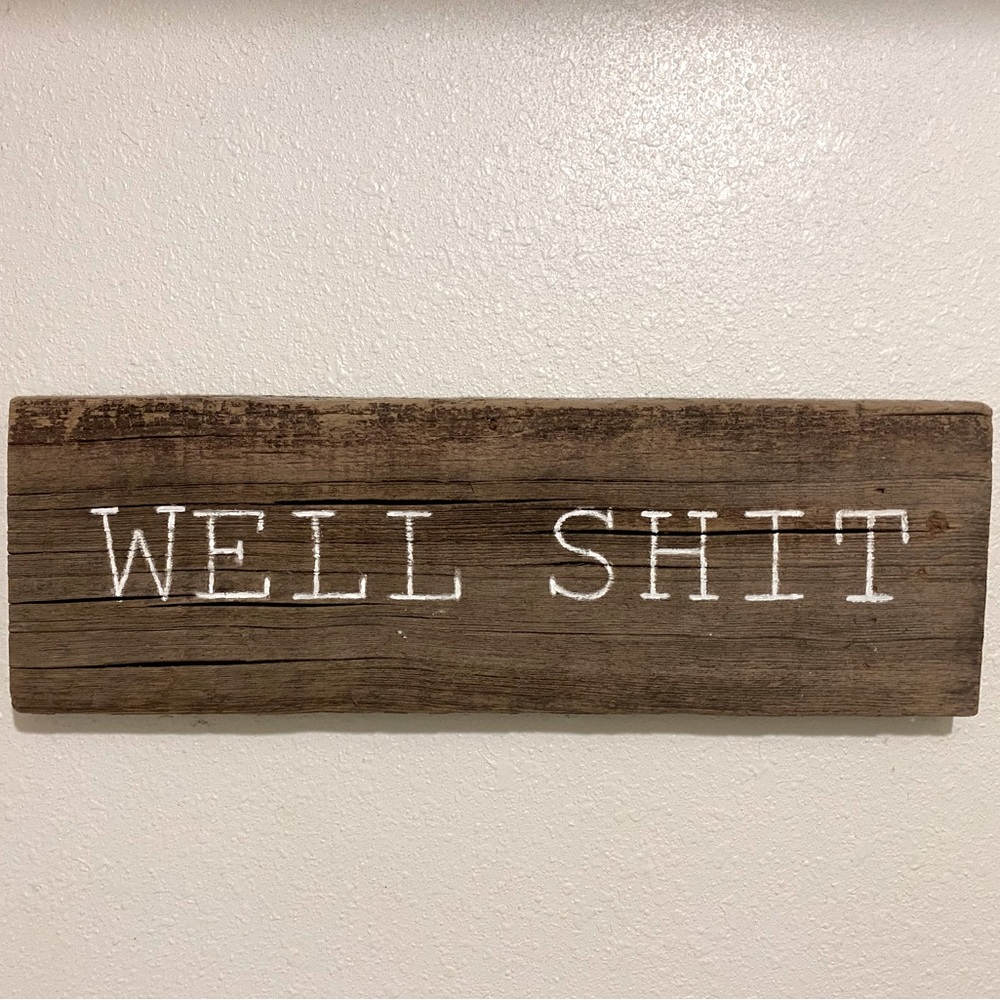 Wooden Sign with saying, “Well Shit.” Funny Sign - a great conversational piece - Picture 4 of 4